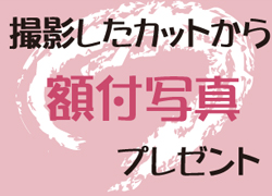 カード16の画像